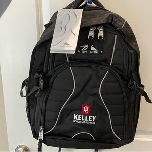 NWT High Sierra Swerve Backpack - IU